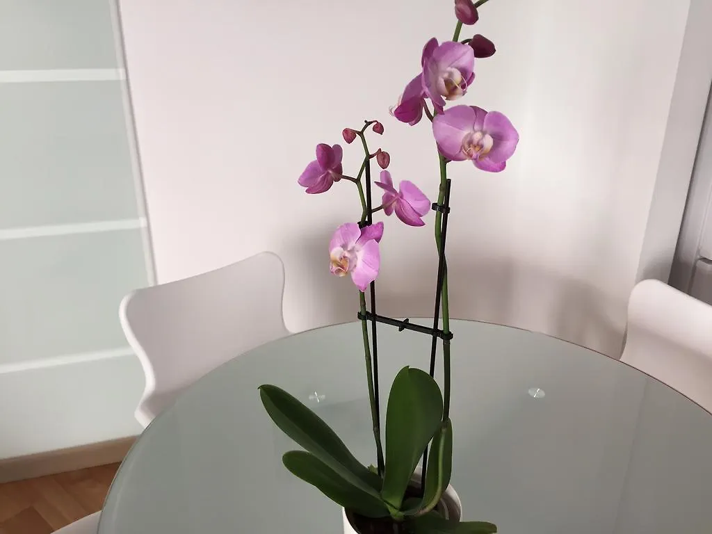 Residencial Suites Valldemossa - Turismo De Interior Spagna